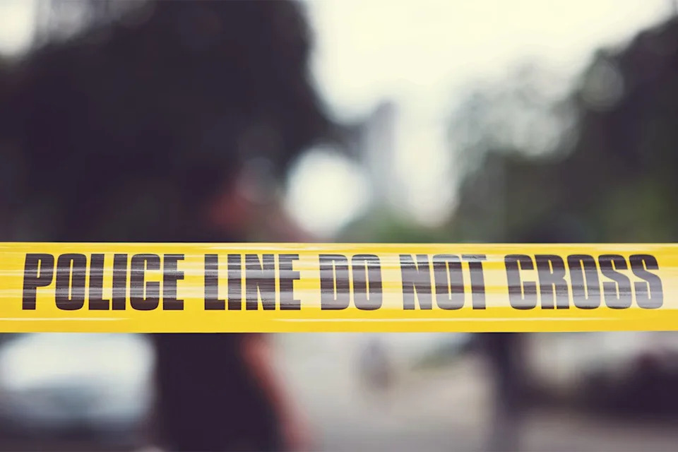 Burglars Smash Brentwood Vet Clinic, Steal Urns Containing Pet Ashes — Staff Beg for Return - Image 1