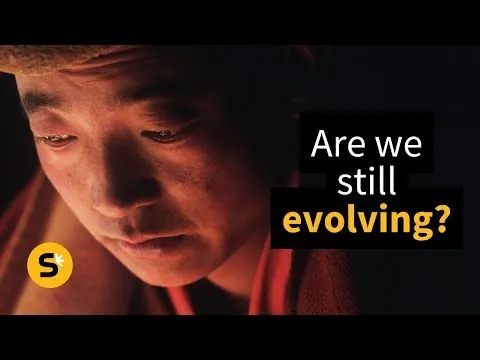 High-Altitude Living Rewires Gene Regulation: Whole-Methylome Study of Andean Highlanders - Image 1