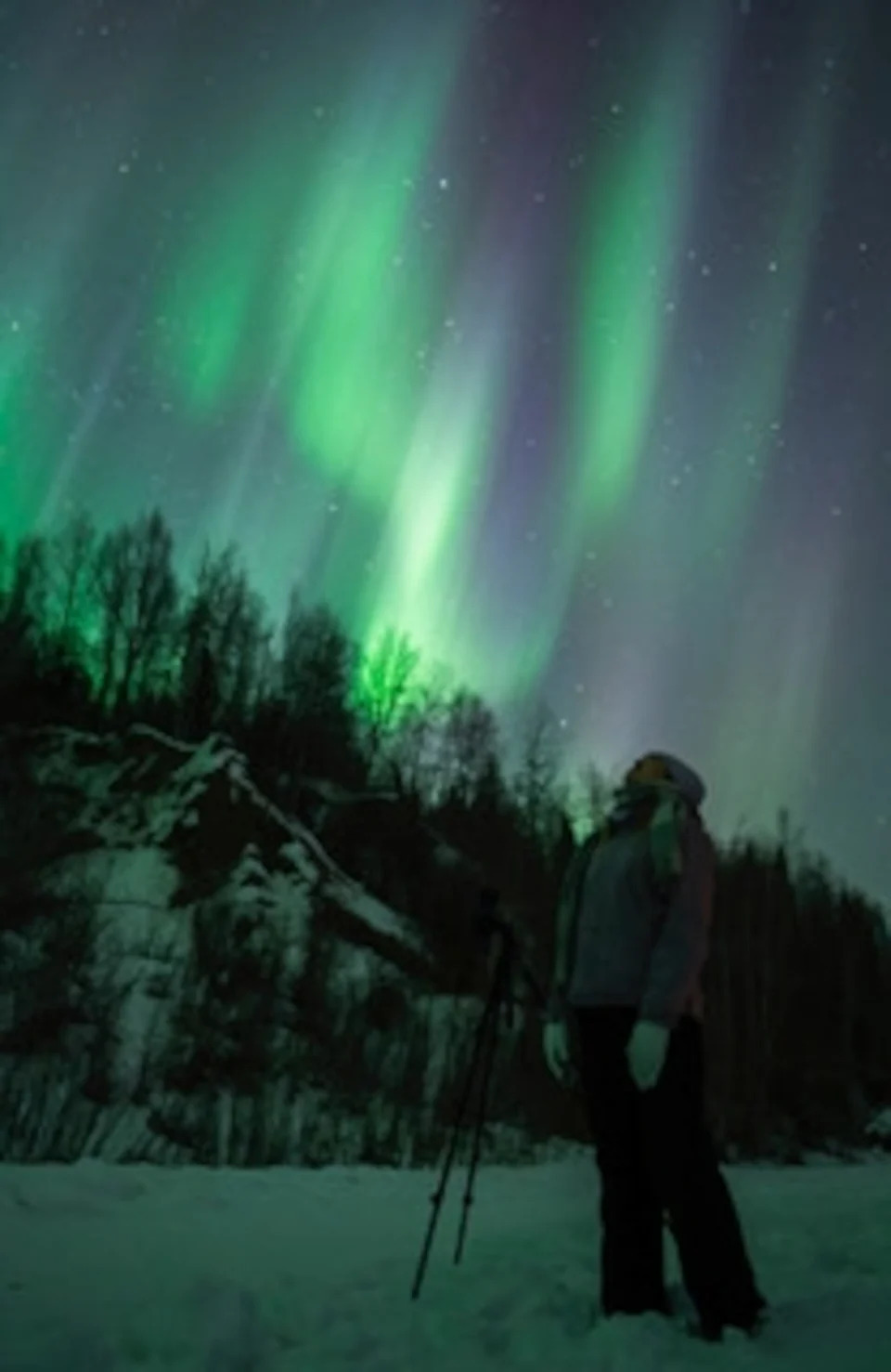 12 Must-See Night-Sky Events in 2026 — From a Total Solar Eclipse to Dazzling Auroras - Image 4