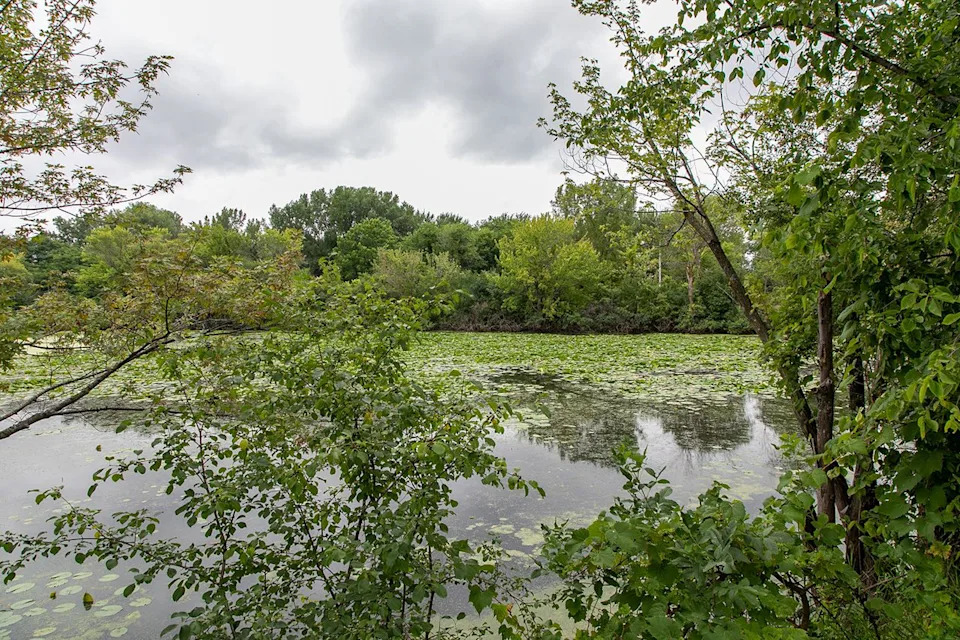 Autopsy Rules Accidental Drowning in Death of 22-Year-Old Viterbo Student Eliotte Heinz - Image 2