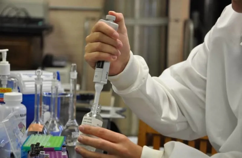 Israeli Team Compresses Millennia‑Long Carbonate Weathering Into Hours — A Scalable Nature‑Based CO₂ Capture - Image 1