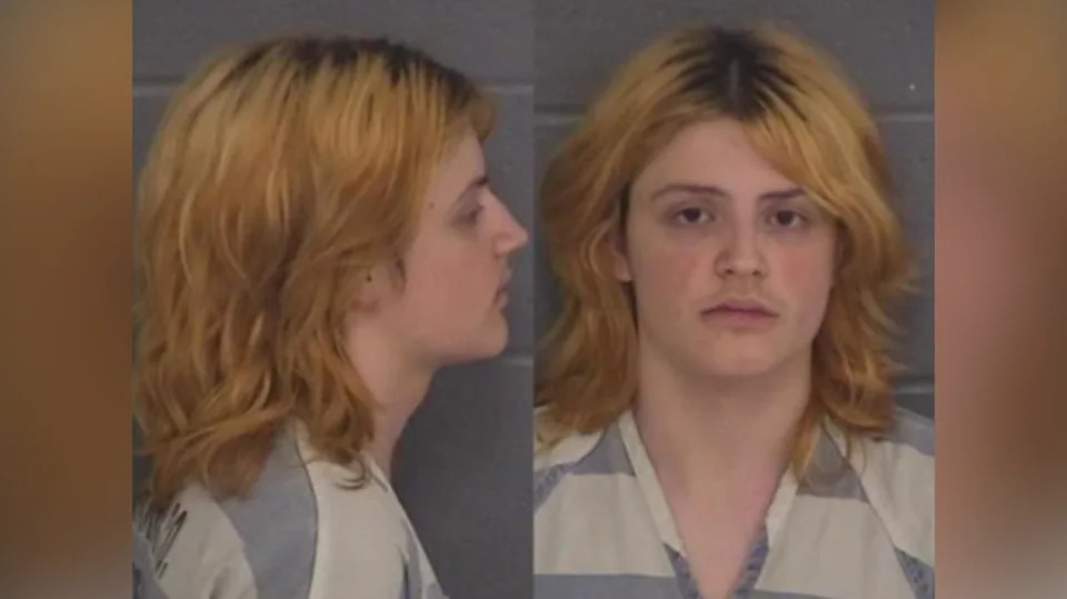 Apalachee High School Shooting Suspect Appears Significantly Different in Court; Medical Evaluation Pending - Image 2