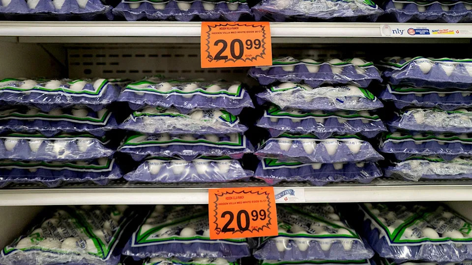 Cotton’s ‘Lowering Egg Prices Act’ Would Loosen Hatchery Rules To Boost Supply And Cut Costs - Image 3