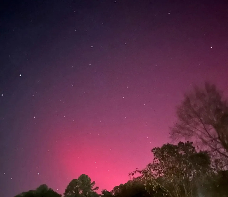 Sled Dogs Race Beneath a Vivid Aurora and Supermoon Over Fairbanks, Alaska - Image 1