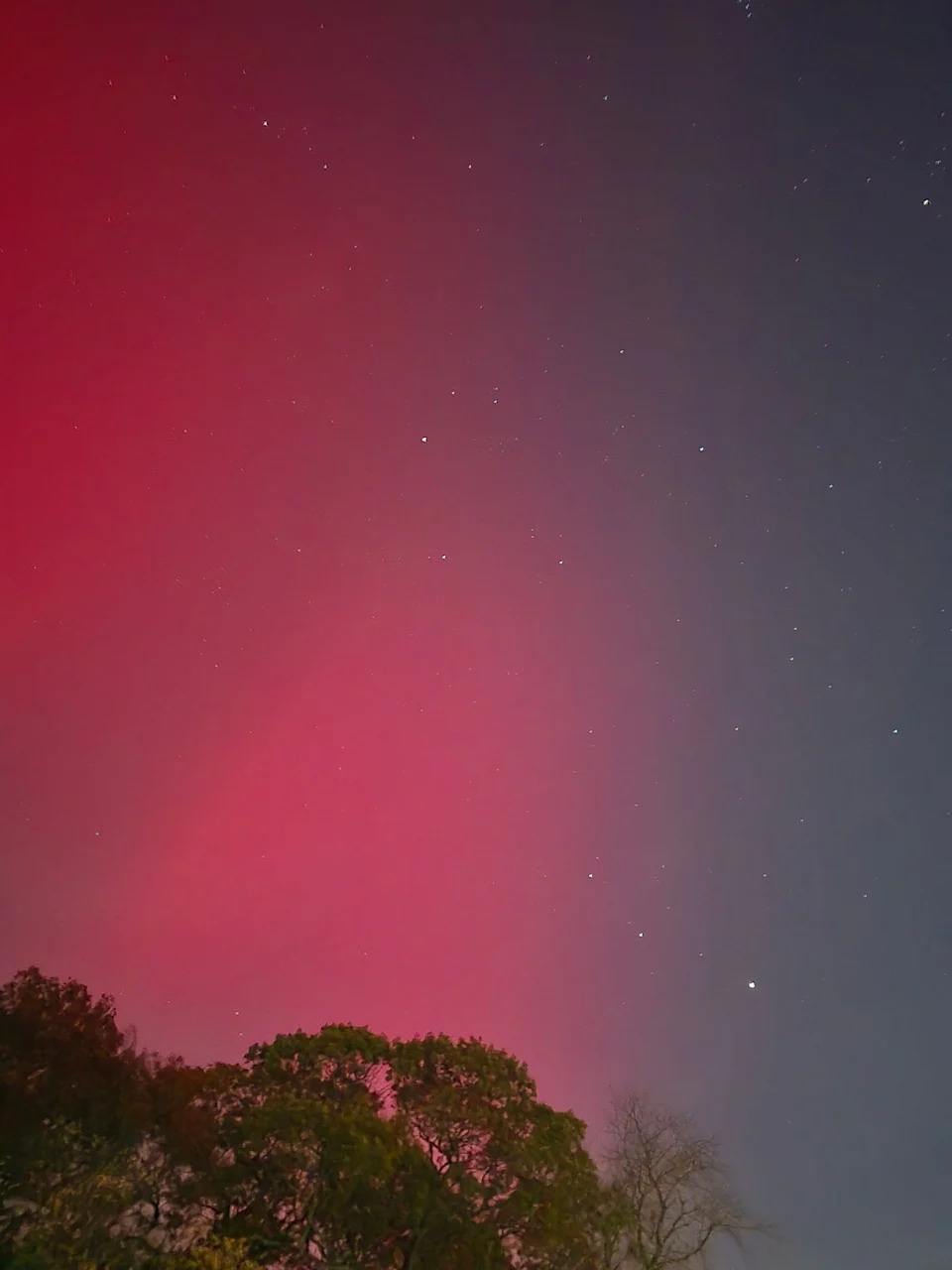 Sled Dogs Race Beneath a Vivid Aurora and Supermoon Over Fairbanks, Alaska - Image 3