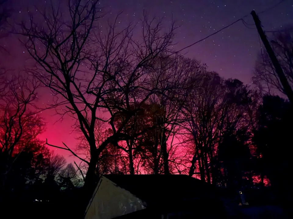 Sled Dogs Race Beneath a Vivid Aurora and Supermoon Over Fairbanks, Alaska - Image 4