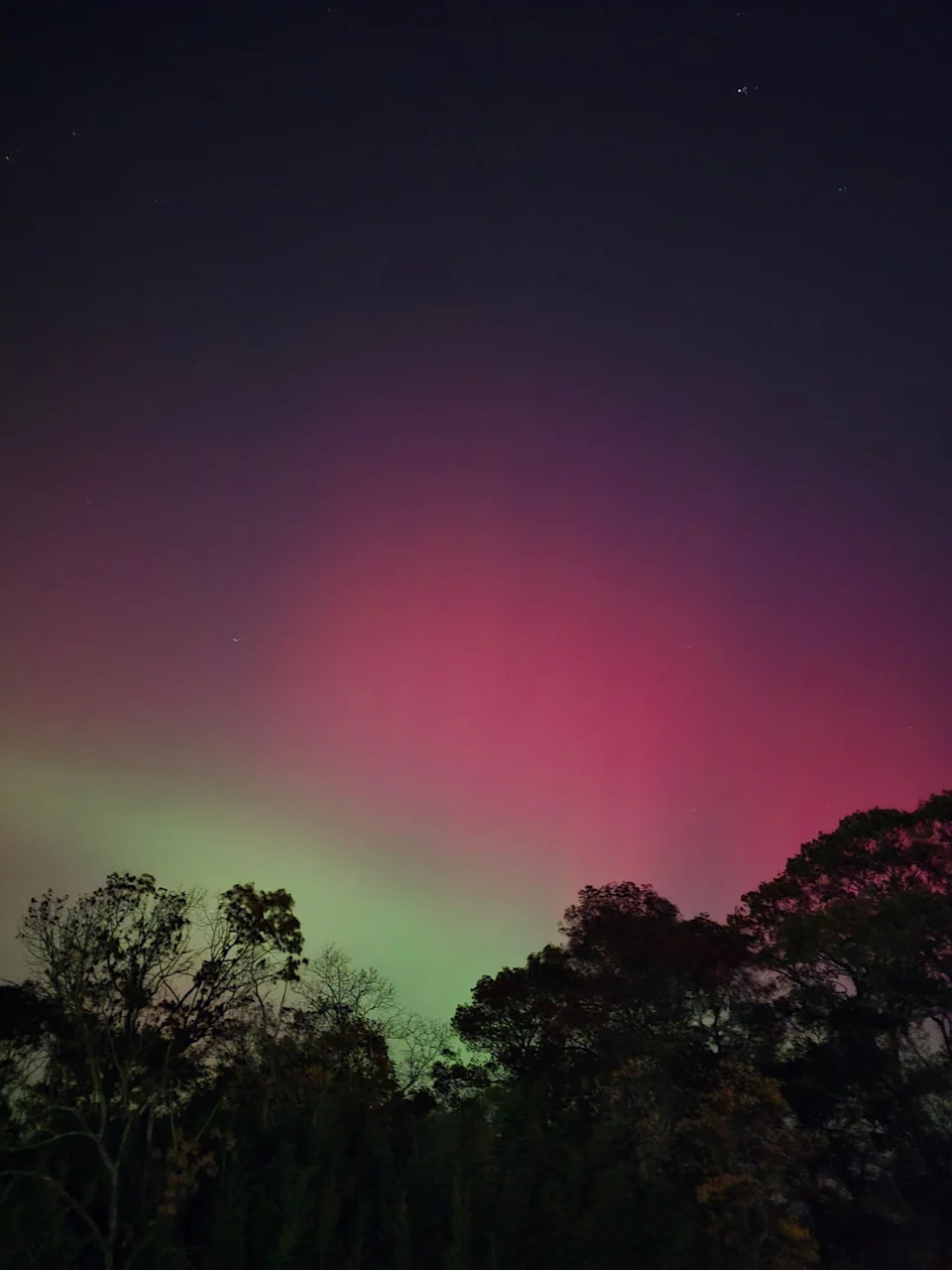 Sled Dogs Race Beneath a Vivid Aurora and Supermoon Over Fairbanks, Alaska - Image 6