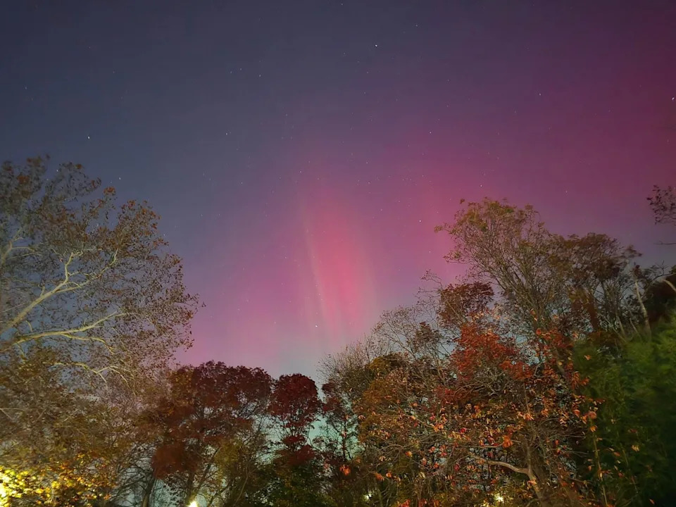 Sled Dogs Race Beneath a Vivid Aurora and Supermoon Over Fairbanks, Alaska - Image 7