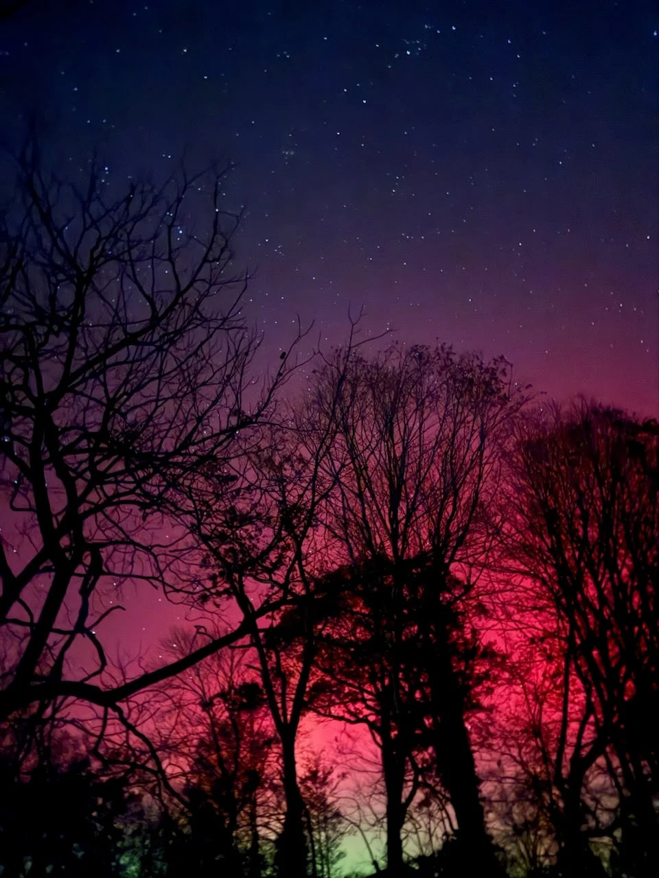 Sled Dogs Race Beneath a Vivid Aurora and Supermoon Over Fairbanks, Alaska - Image 9