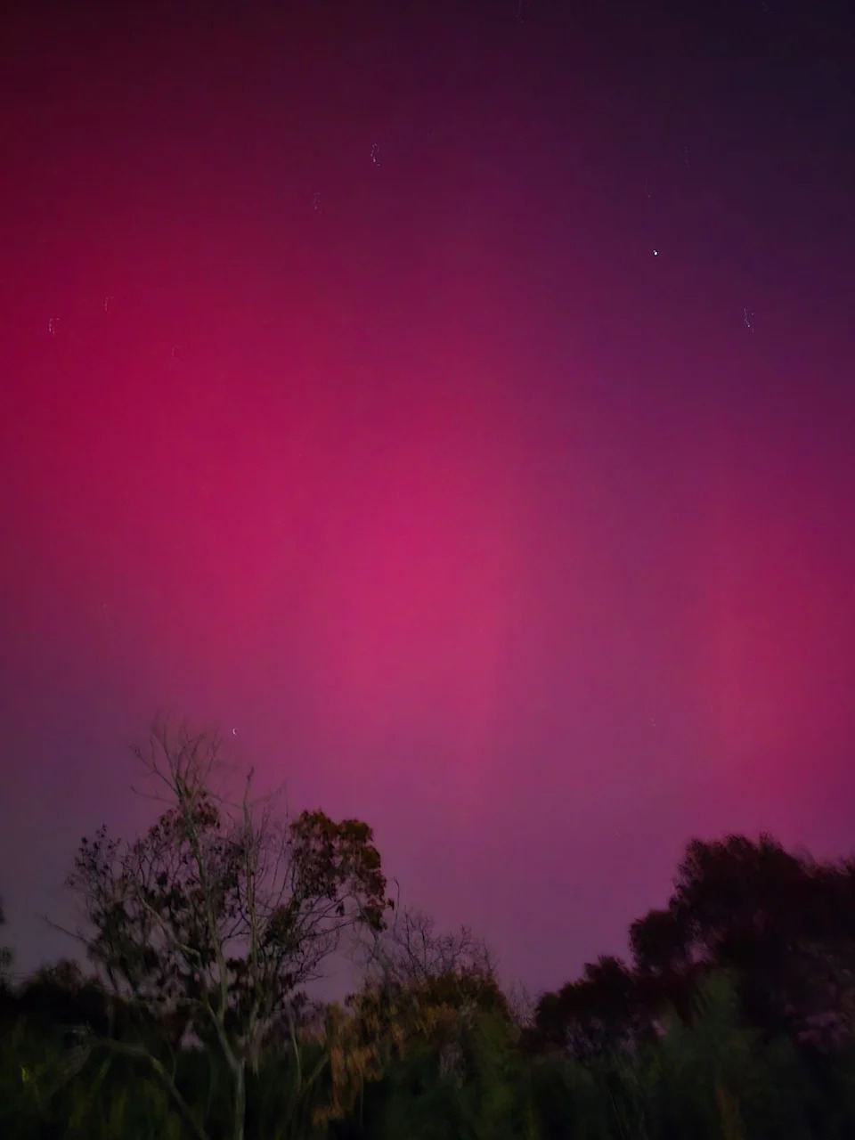 Sled Dogs Race Beneath a Vivid Aurora and Supermoon Over Fairbanks, Alaska - Image 10