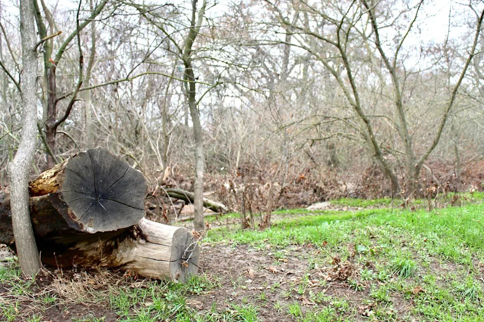 Decades-Old Mystery Solved: Remains Found After 1986 Flood Identified As Woman Missing Since 1982