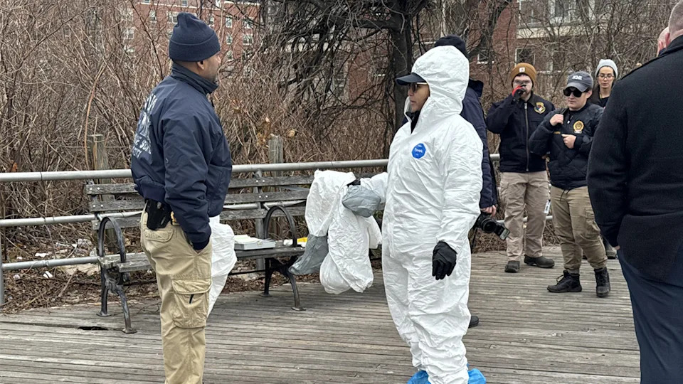 Human Skull and Other Skeletal Remains Found Near Coney Island Boardwalk; NYPD Investigates - Image 1