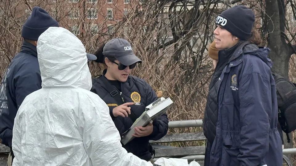 Human Skull and Other Skeletal Remains Found Near Coney Island Boardwalk; NYPD Investigates - Image 2