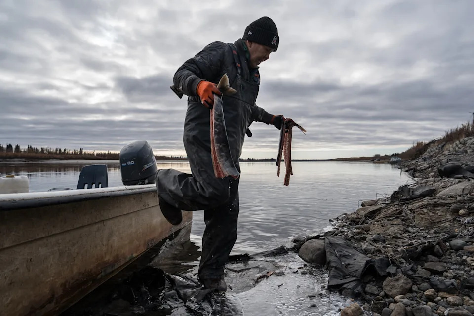 Ambler’s Crossroads: A 211‑Mile Mining Road Tests Alaska’s Arctic Communities and Wildlife - Image 15