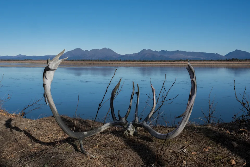 Ambler’s Crossroads: A 211‑Mile Mining Road Tests Alaska’s Arctic Communities and Wildlife - Image 3