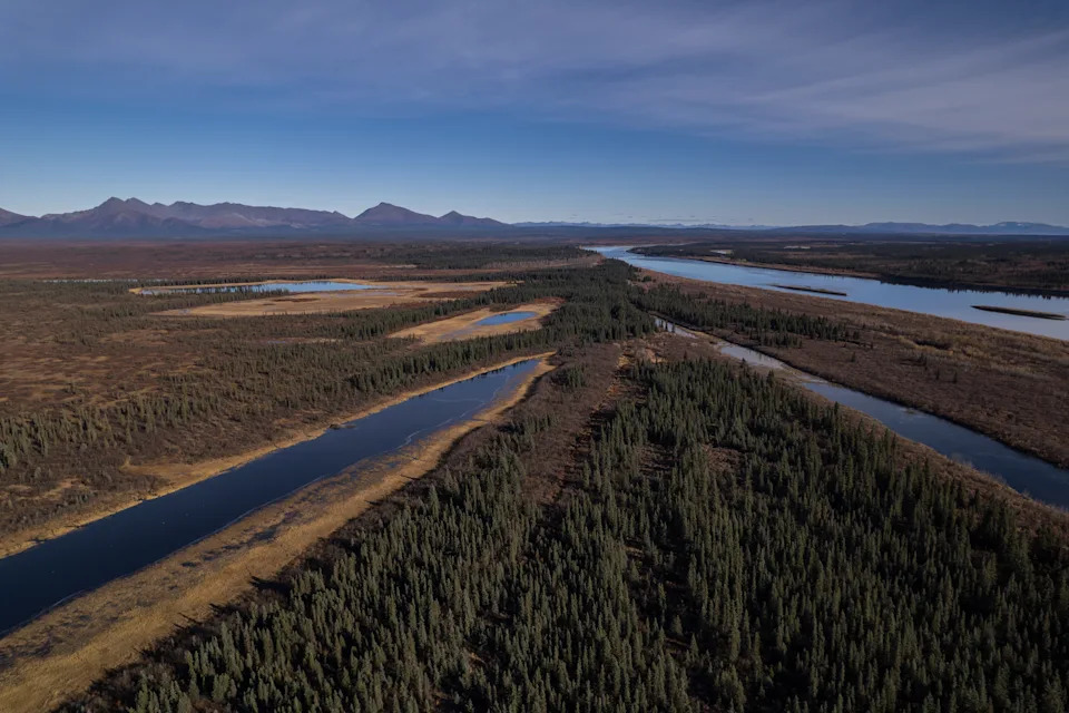 Ambler’s Crossroads: A 211‑Mile Mining Road Tests Alaska’s Arctic Communities and Wildlife - Image 9