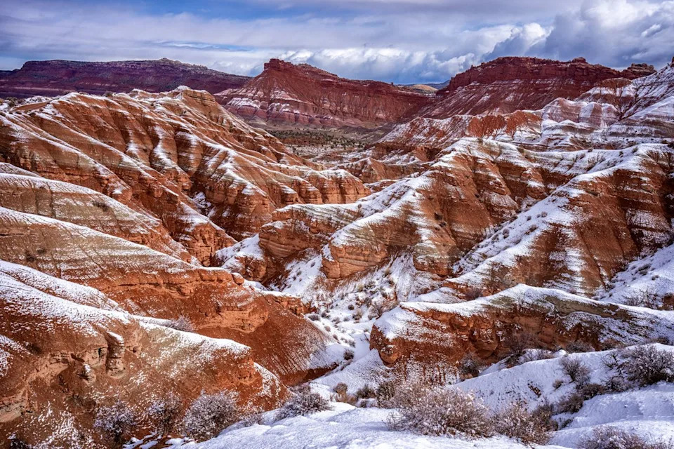 Archaeologists Offer $3,000 Reward After Thief Posted Facebook Selfie With 1,700-Year-Old Skull From Utah Burial Site - Image 1
