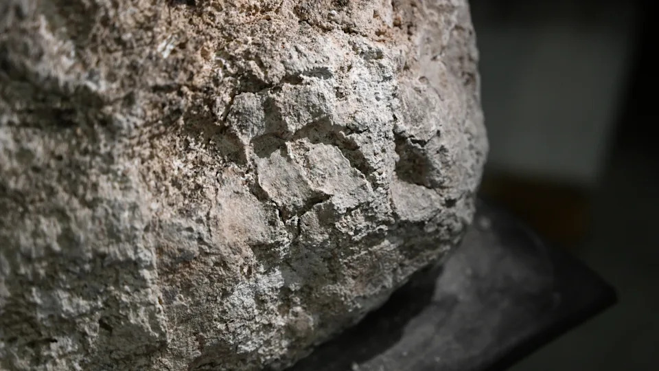 Roman Handprints Found in Gypsum Casings Reveal Hands-On Burial Rituals in Yorkshire - Image 1