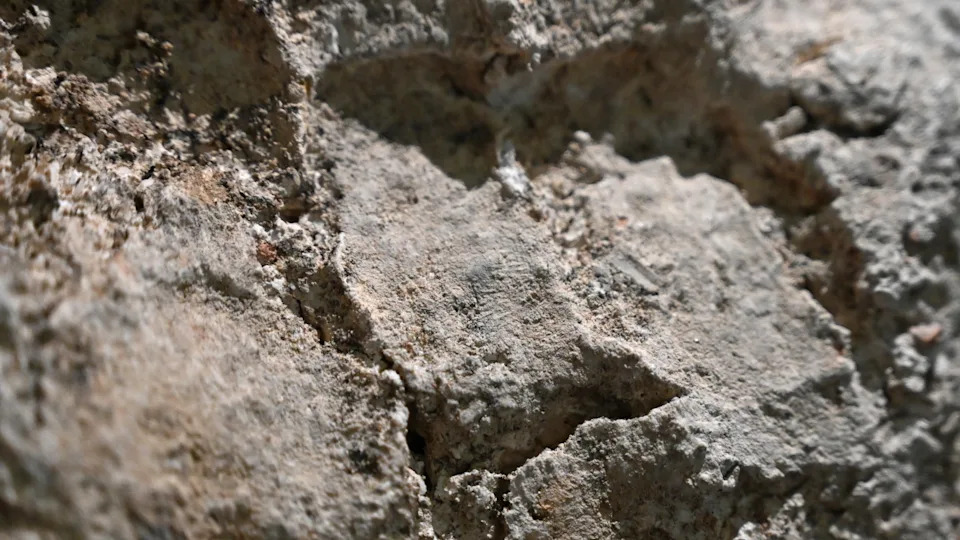 Roman Handprints Found in Gypsum Casings Reveal Hands-On Burial Rituals in Yorkshire - Image 2