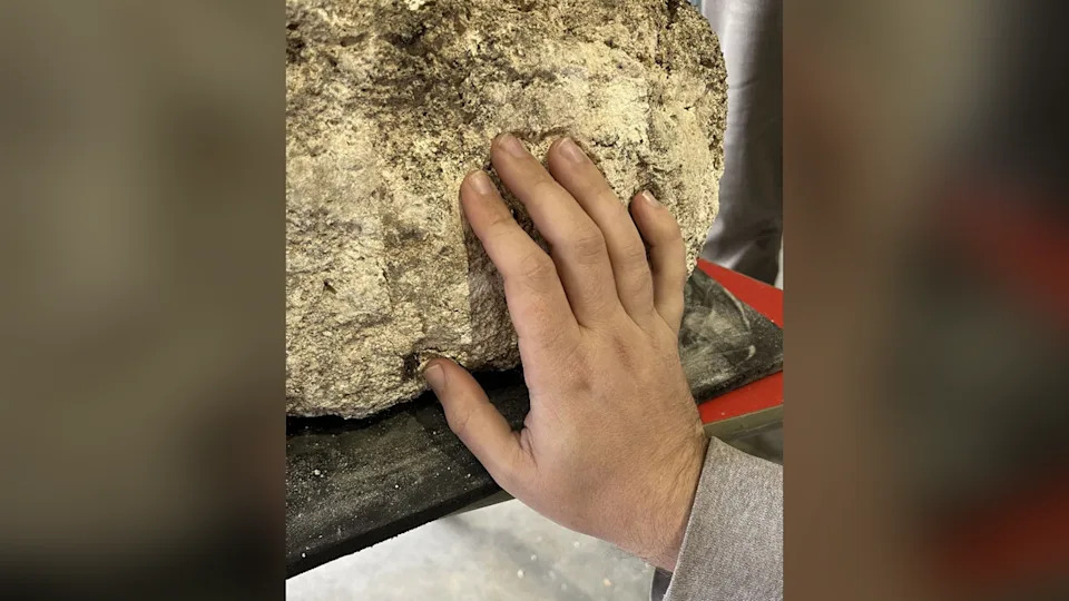 Roman Handprints Found in Gypsum Casings Reveal Hands-On Burial Rituals in Yorkshire - Image 3