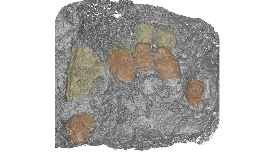 Roman Handprints Found in Gypsum Casings Reveal Hands-On Burial Rituals in Yorkshire - Image 4