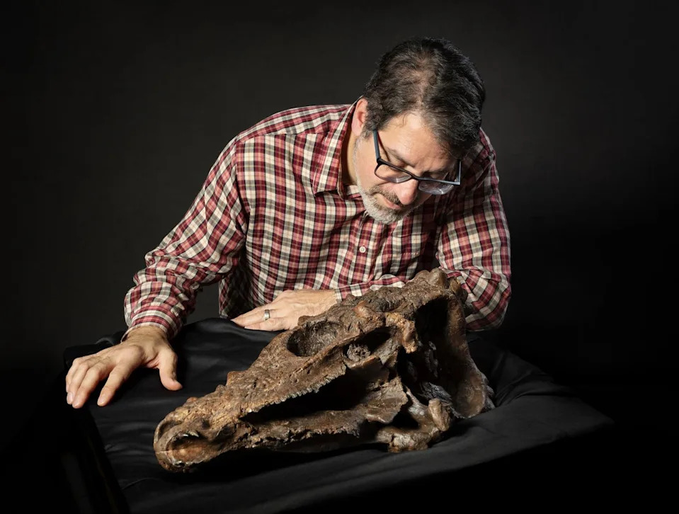 Rare Pachycephalosaurus Skull Heads to Smithsonian — On View Dec. 22–28 - Image 2