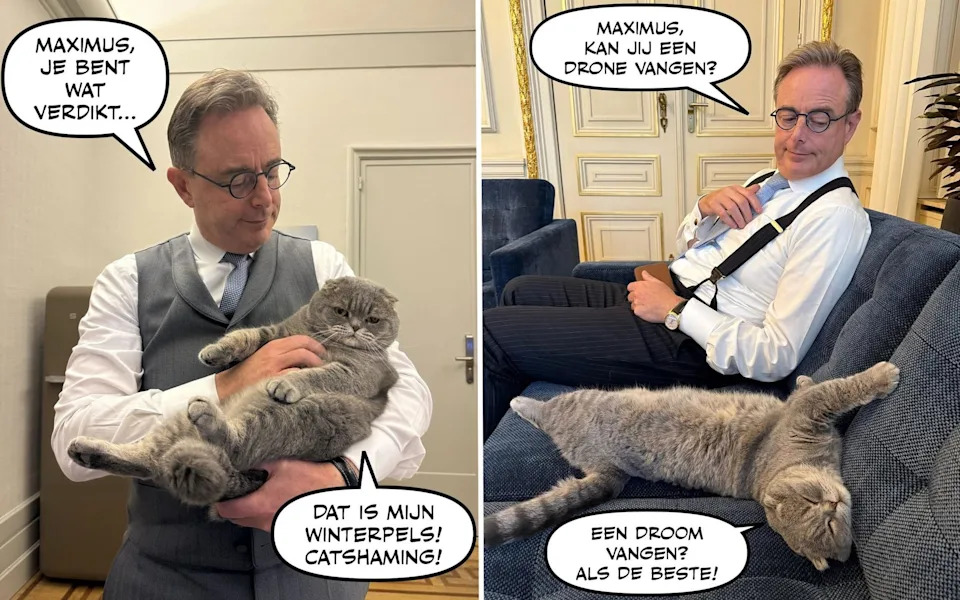 Belgian Prime Minister’s Cat Maximus Becomes an Unexpected PR Star - Image 2