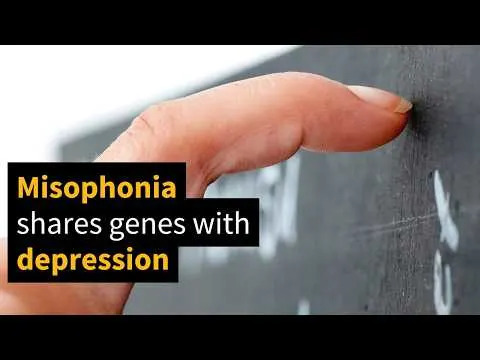 Genes Link Misophonia With Anxiety, Depression And PTSD — Dutch Study Points To New Research And Treatment Directions - Image 1