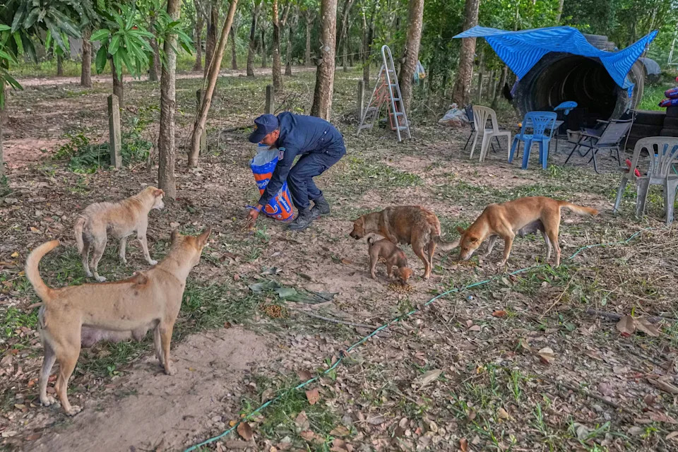 Thai Villagers Remain Behind to Guard Empty Homes as Border Clashes Force Mass Evacuations - Image 4