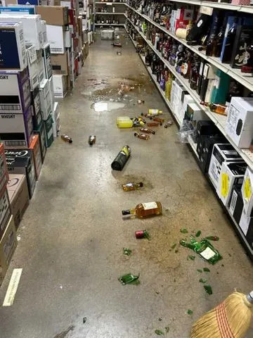 Repeat Offender: Intoxicated Raccoon Nabbed After Liquor-Store Bender — Authorities Reveal Two Earlier Break-Ins - Image 1