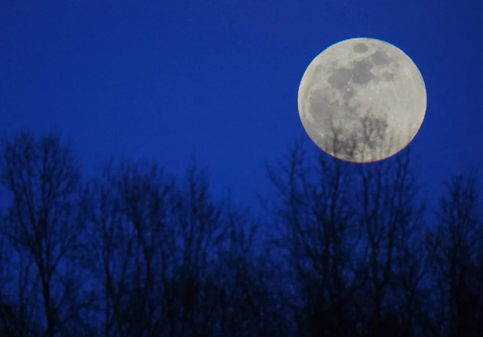 How Your Holiday Nap Connects to Asteroids: Tryptophan, Star Dust and December Skies - Image 1