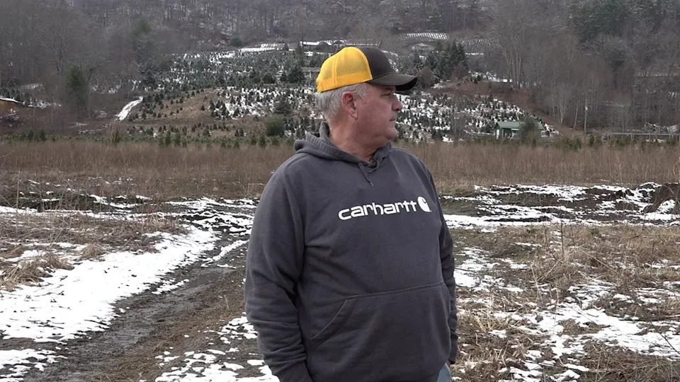 One Year After Helene: North Carolina Fraser Fir Growers Rebuild From Devastating Flooding - Image 1