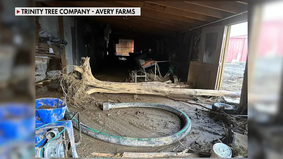 One Year After Helene: North Carolina Fraser Fir Growers Rebuild From Devastating Flooding - Image 2