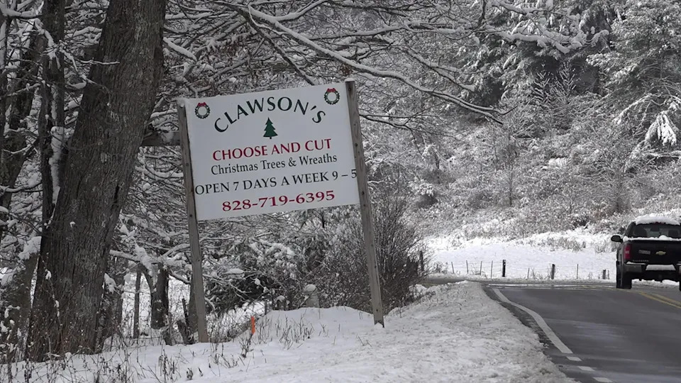 One Year After Helene: North Carolina Fraser Fir Growers Rebuild From Devastating Flooding - Image 3