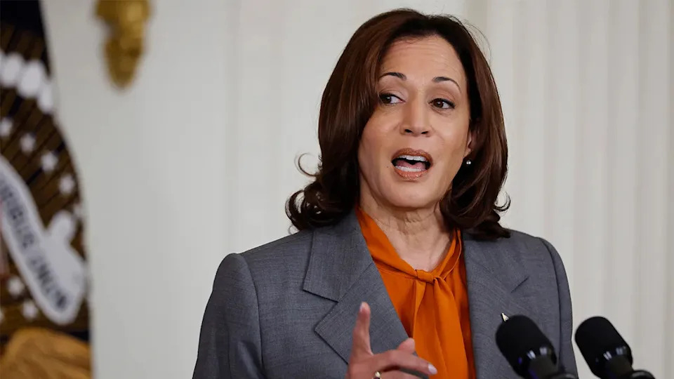 Harris Thanks Supporters for 'Standing Up for Democracy' at DNC Winter Meeting — Keeps 2028 Option Open - Image 2
