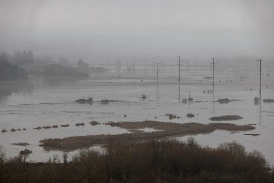 Washington State Assesses Widespread Flood Damage as Another Atmospheric River Looms - Image 3