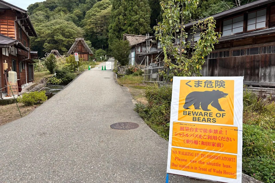 Smartwatch Reconstructs Fatal Bear Attack on Hokkaido Hiker: GPS and Heartbeat Data Reveal Final Movements - Image 1