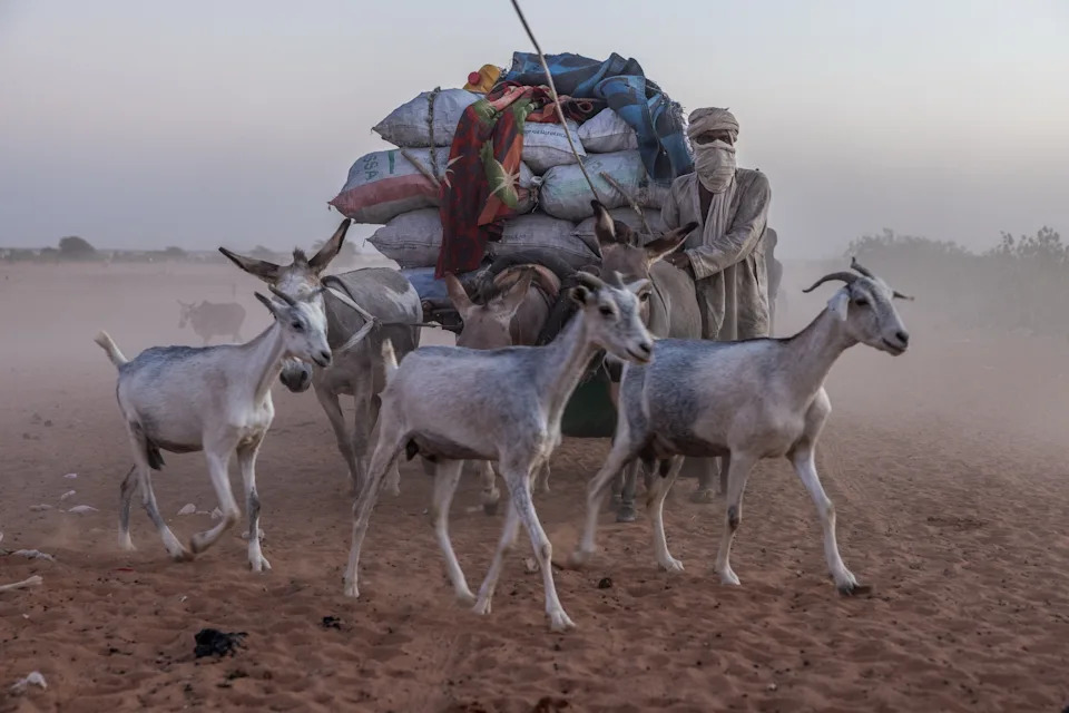 Photo Essay: Thousands Flee Mali as Sahel Becomes World's Deadliest Region for Extremist Violence - Image 9