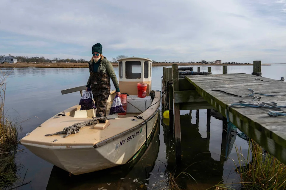From Hoops to Oysters: How WNBA Stars Are Building New Careers After the Game - Image 4