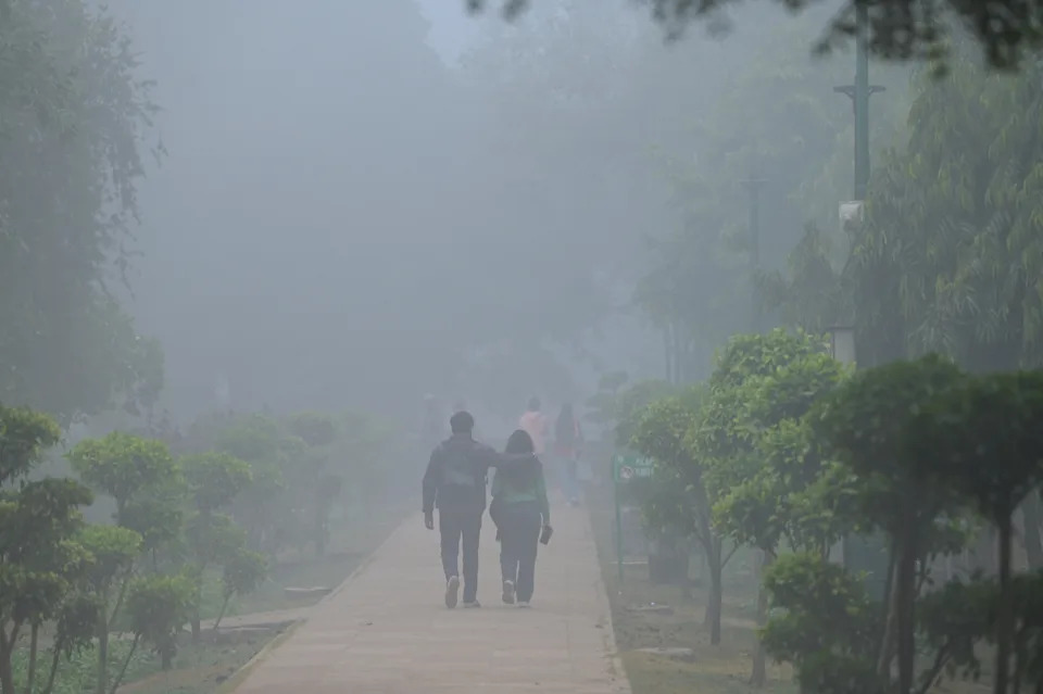 Toxic Smog Chokes New Delhi: Flights Grounded as Air Quality Reaches Hazardous Levels - Image 2