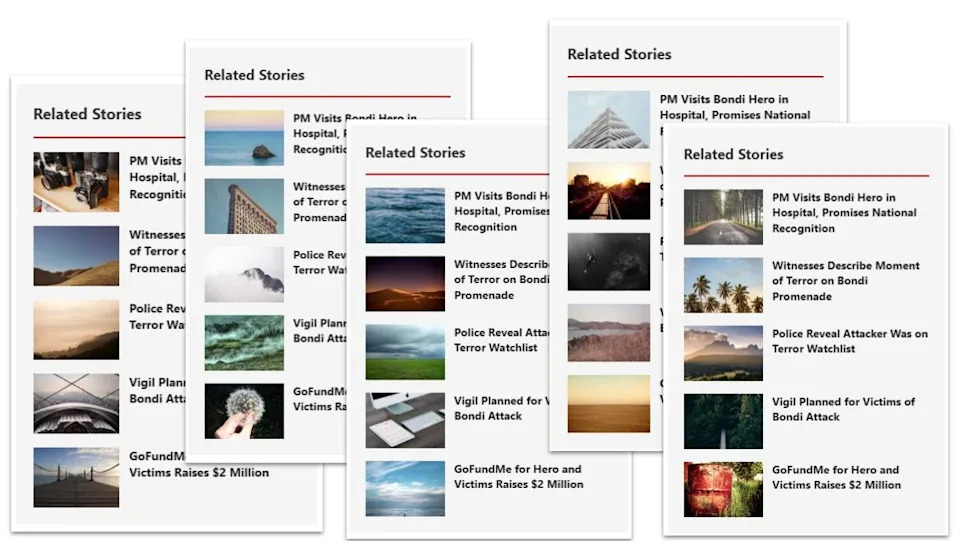 Provera činjenica: Lažni 'Edward Crabtree' — Heroj s Bondi plaže je Ahmed al Ahmed