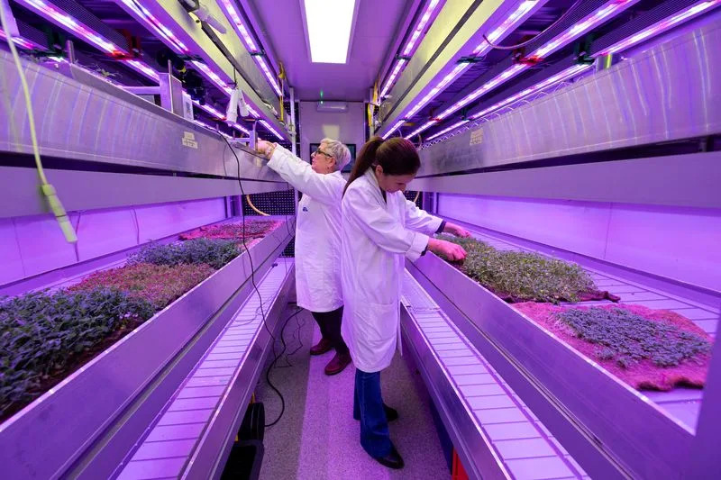 Italy Develops 3D‑Printed 'Pastries' From Lab‑Grown Plant Cells and Fruit Residues - Image 4