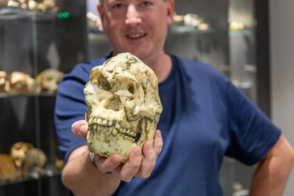 ‘Little Foot’ May Be a Previously Unknown Human Ancestor, New Study Finds - Image 1