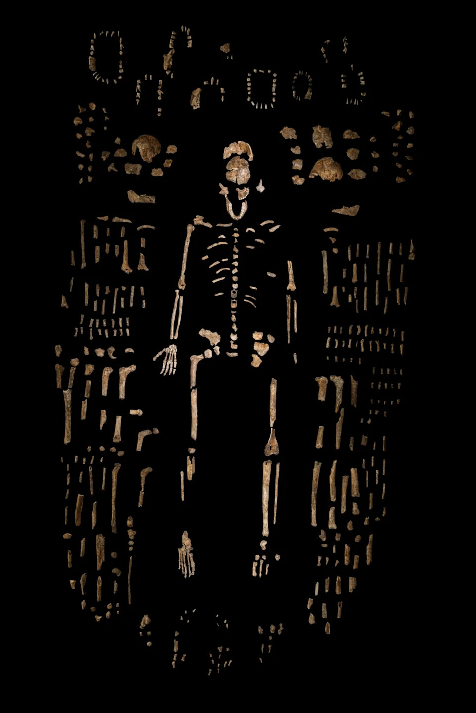 25 Years of Discovery: The Biggest Scientific Breakthroughs — And the Mysteries Next - Image 10