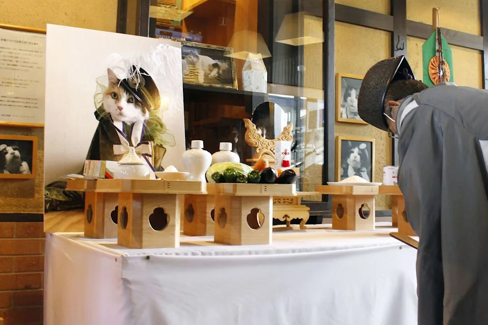 Nitama, Kishi Station’s Beloved Cat Stationmaster, Laid to Rest at 15 — 500 Attend Funeral - Image 2