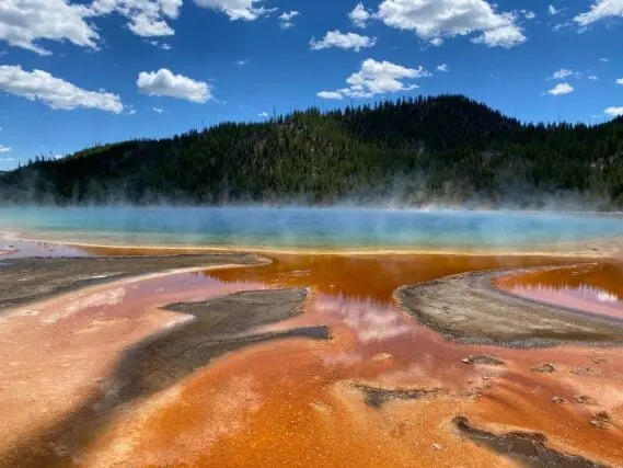 15 Global Tipping Points Scientists Quietly Fear Could Collapse — And What It Would Mean - Image 4