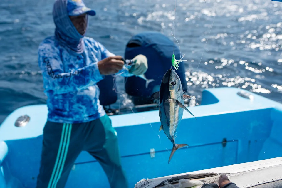 Assisted Coral Fertilization Offers Hope for Vanishing Reefs in the Dominican Republic - Image 13