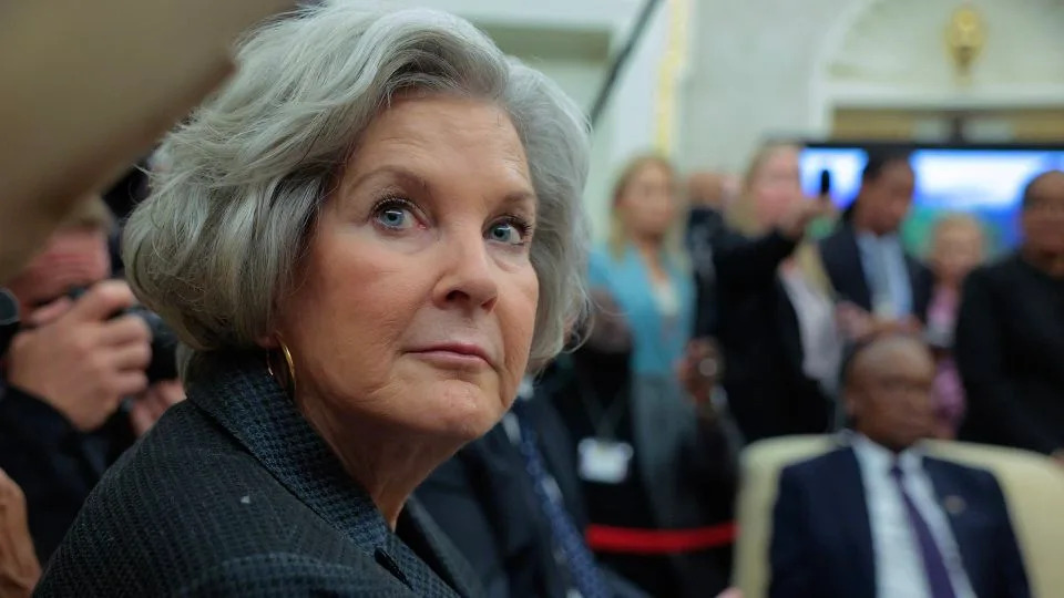 Tiny Cars, Wildlife Havens and Unlikely Friendships: Today’s Top Stories - Image 1