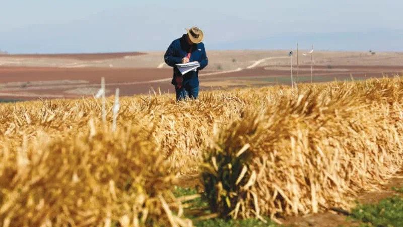 Israeli Scientists Use AI to Predict Crop Water Use and Spot Plant Stress Earlier - Image 1