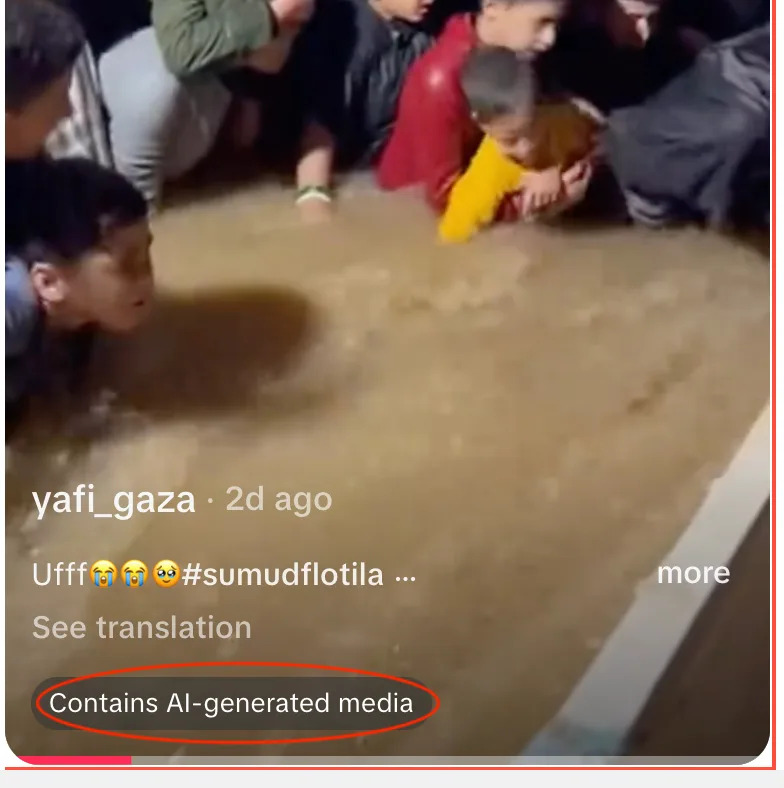 Fact Check: Viral Gaza Flood Videos From December 2025 Are AI-Generated, Not Real Footage - Image 2